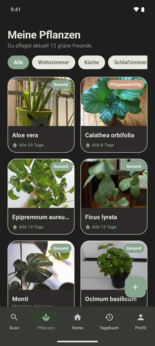 Pflanzen-Reiter: zwölf Pflanzen als Fotokacheln, darunter Aloe vera, Calathea orbifolia, Efeutute, Geigenfeige, Monstera und Basilikum, jeweils mit Gesundheitsstatus und Giessrhythmus.