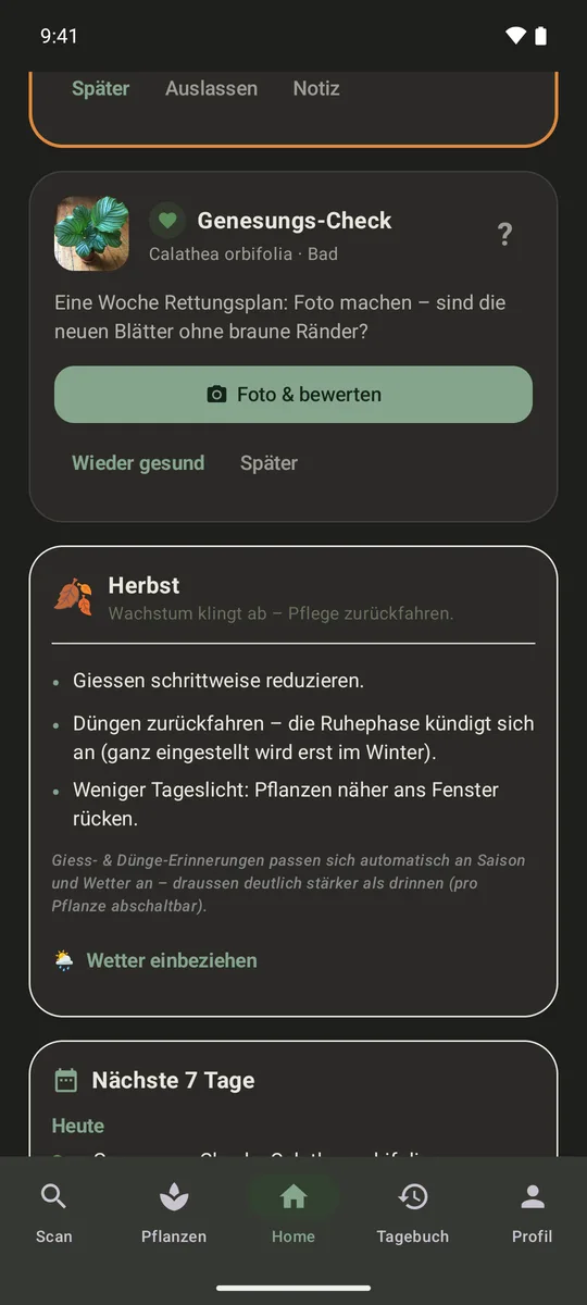 Genesungs-Check einer Calathea: eine Woche nach dem Rettungsplan fragt die App nach einem Foto der neuen Blätter, mit den Knöpfen Foto und bewerten, Wieder gesund und Später.